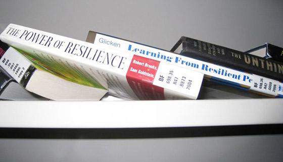 Figure 2: Resilience books at the University of Canterbury Library. Photograph courtesy of Earthquake Engineering Research Institute, Lucy Arendt.