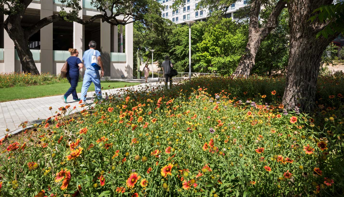 Dell Medical School at The University of Texas at Austin - © Esto Photographics / Albert Vecerka